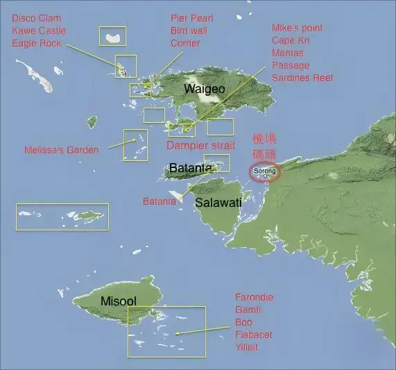 Section image